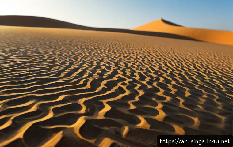 سنغافورة أم اليابان؟ دليل عملي لاختيار الوجهة حسب الميزانية والعمل والسفر 4 싱가포르와 일본 비교 관련 이미지 2